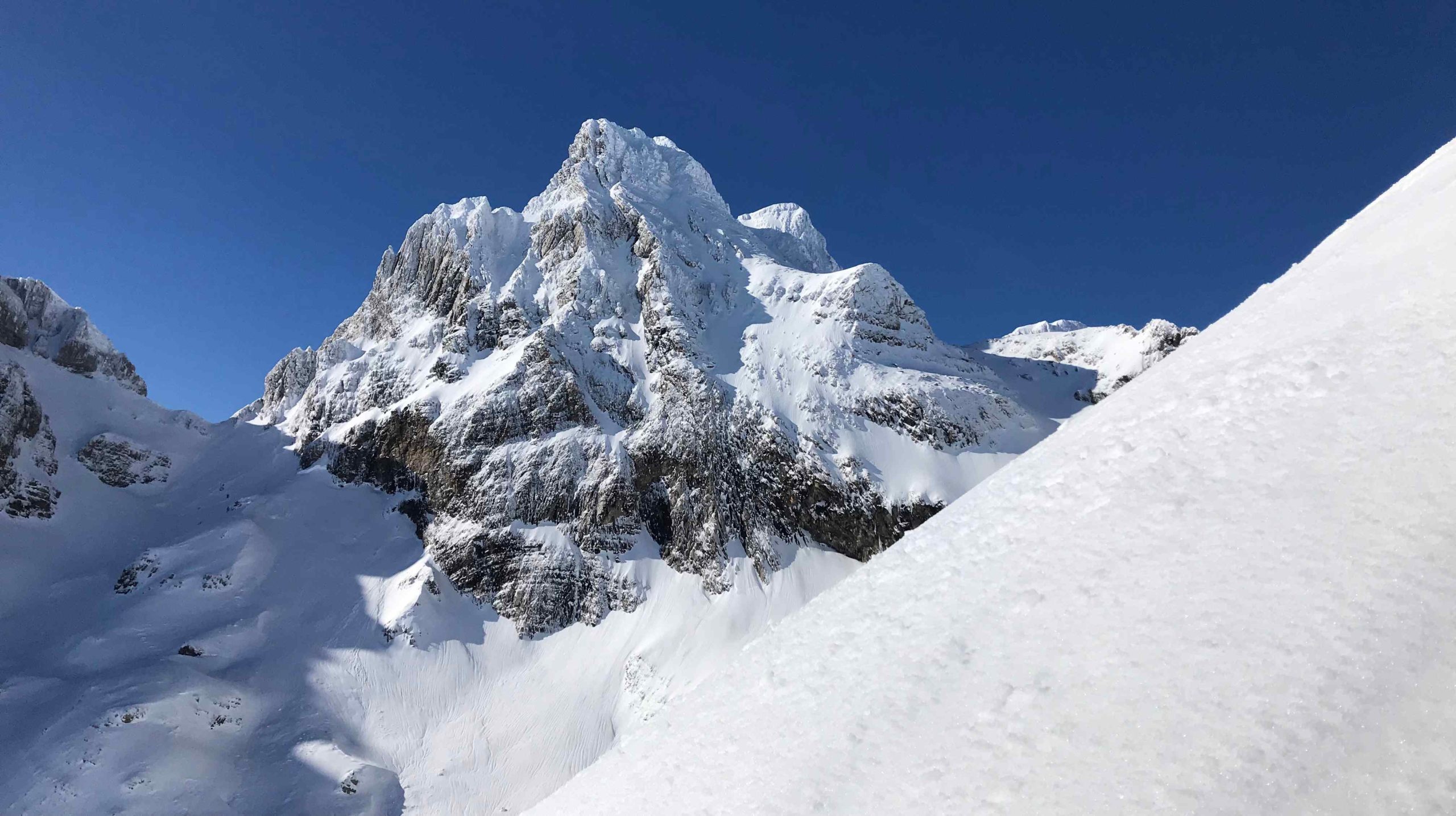 IMG_1239__-compressed